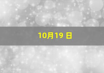 10月19 日